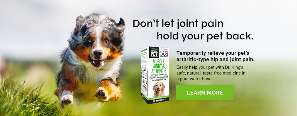 Dog Joint Pain